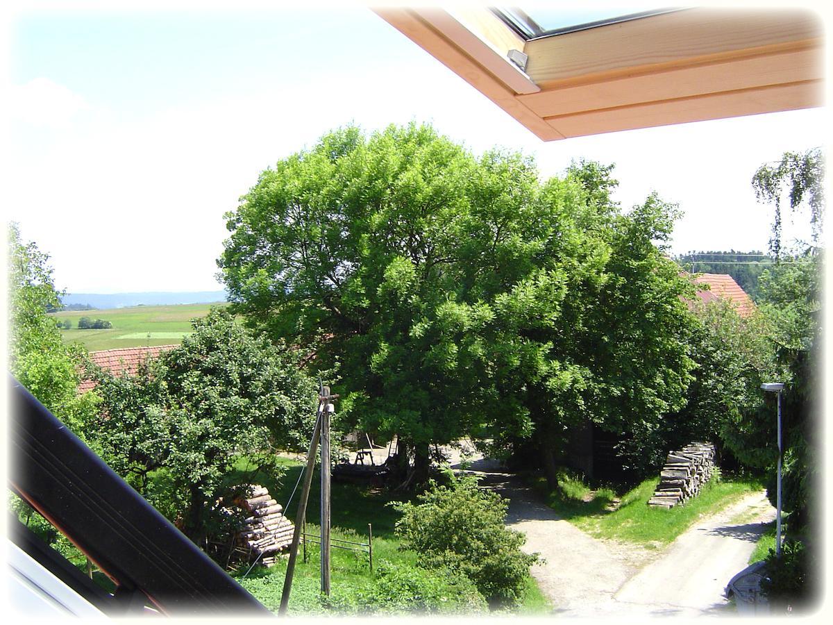 Gasthof Hotel Traube Oberndorf am Neckar 객실 사진